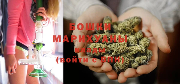 шишки Вяземский
