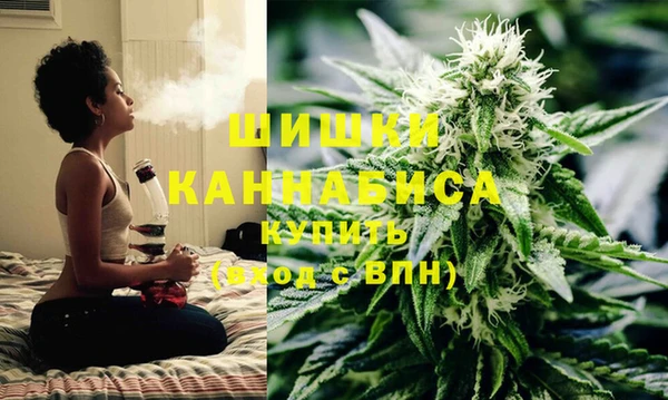 ГАЛЛЮЦИНОГЕННЫЕ ГРИБЫ Вязники