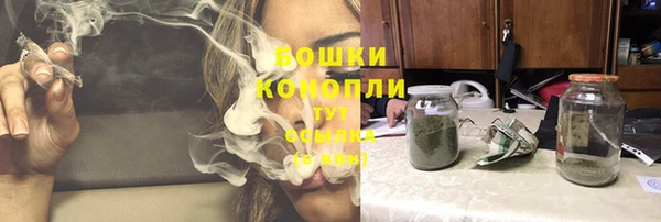 шишки Вяземский