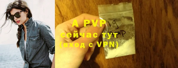 шишки Вяземский