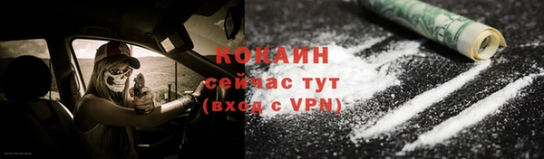 шишки Вяземский
