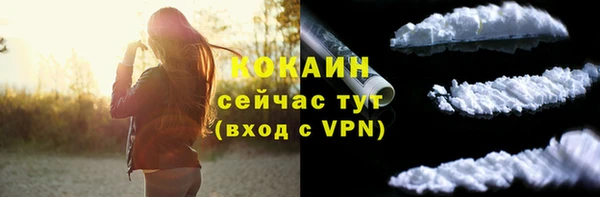 шишки Вяземский