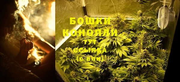 ГАЛЛЮЦИНОГЕННЫЕ ГРИБЫ Вязники