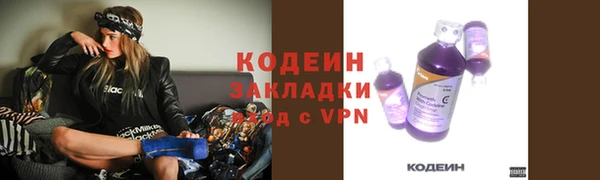 ГАЛЛЮЦИНОГЕННЫЕ ГРИБЫ Вязники