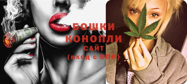 шишки Вяземский