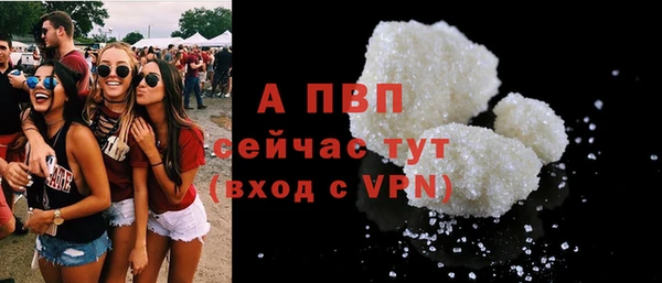 ГАЛЛЮЦИНОГЕННЫЕ ГРИБЫ Вязники