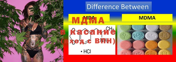 ГАЛЛЮЦИНОГЕННЫЕ ГРИБЫ Вязники
