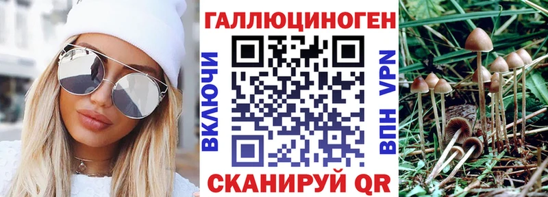 Псилоцибиновые грибы Magic Shrooms  Гуково 