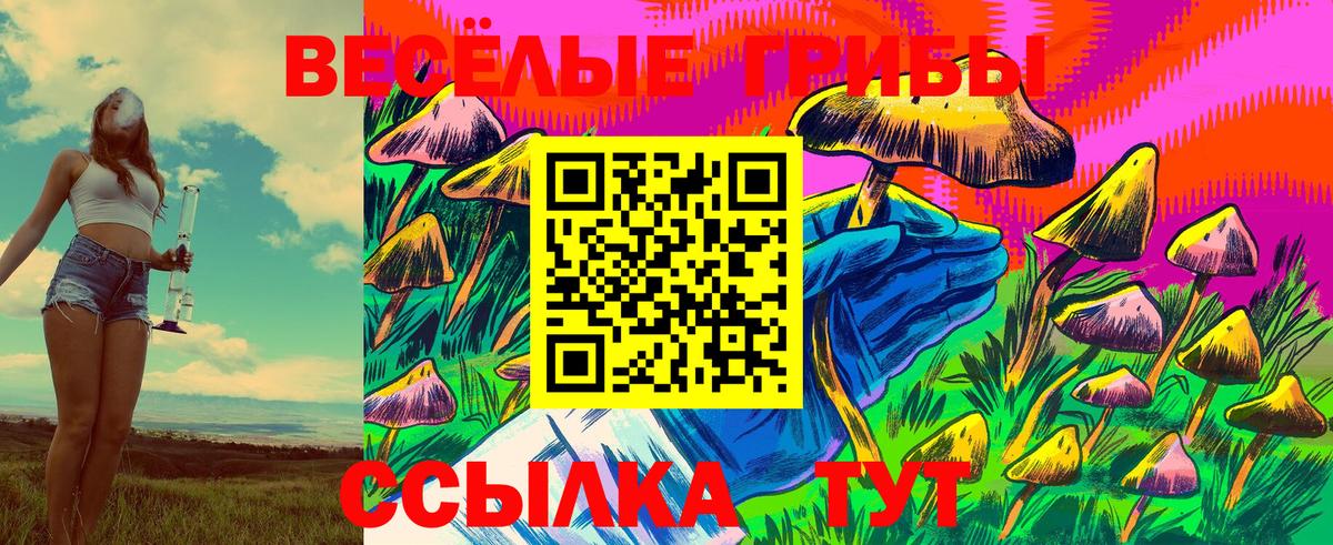 Псилоцибиновые грибы мухоморы Гуково