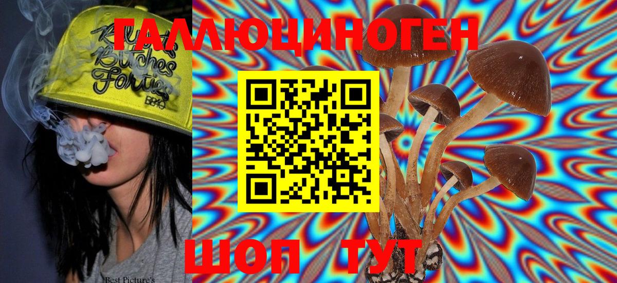 Псилоцибиновые грибы ЛСД  Псилоцибиновые грибы Psilocybe  Гуково 