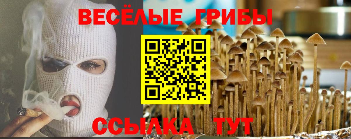 Гуково  Псилоцибиновые грибы Cubensis  Вход с VPN 